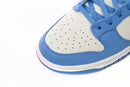 Nike Dunk Low Coast - SKR SHOES