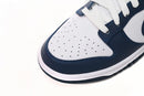 Nike Dunk Low Valerian Blue - SKR SHOES